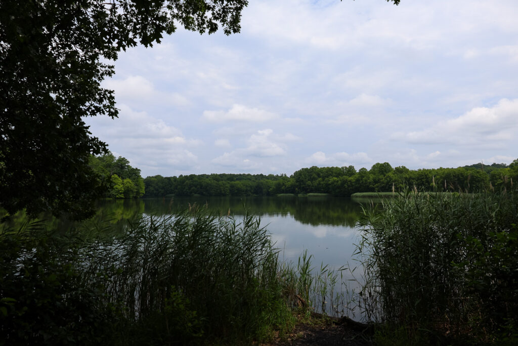 Assunpink Stone Tavern Lake Trail - Stone Tavern Lake