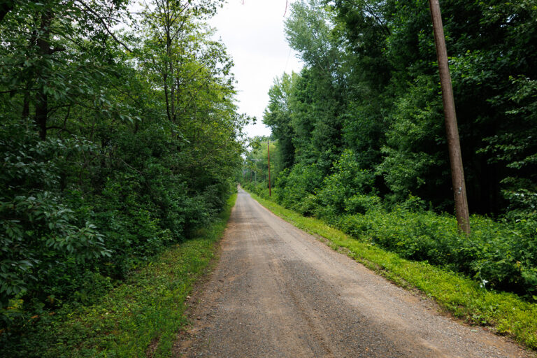 Assunpink Stone Tavern Lake Trail -
