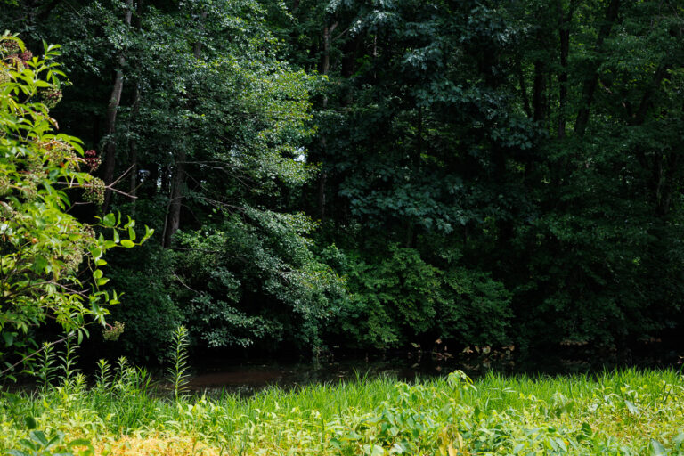 Assunpink Stone Tavern Lake Trail -