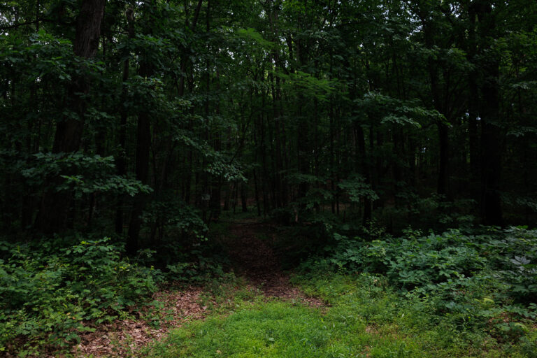 Assunpink Stone Tavern Lake Trail -