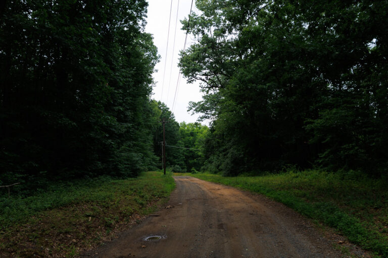 Assunpink Stone Tavern Lake Trail -