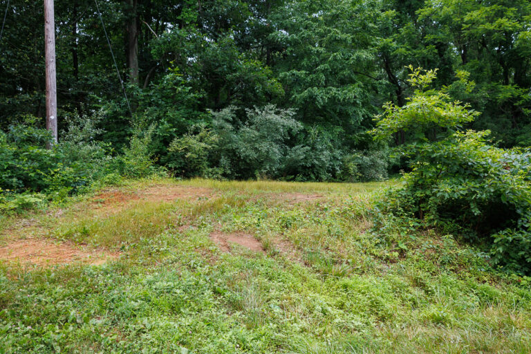 Assunpink Stone Tavern Lake Trail -