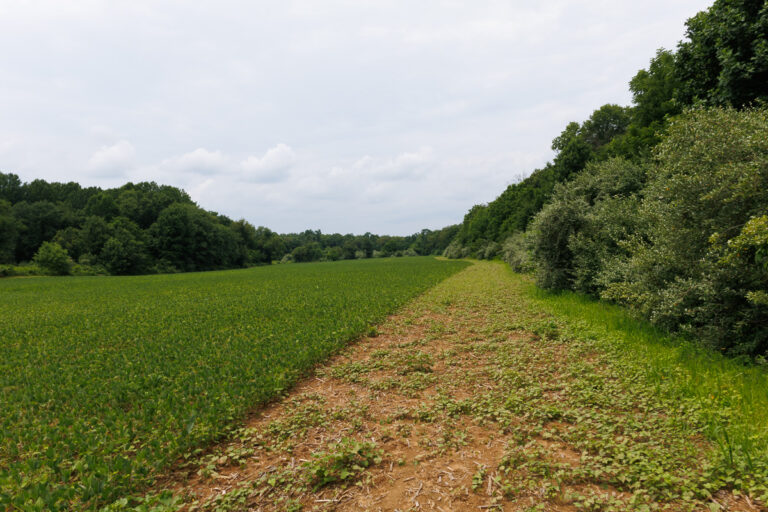 Assunpink Stone Tavern Lake Trail -