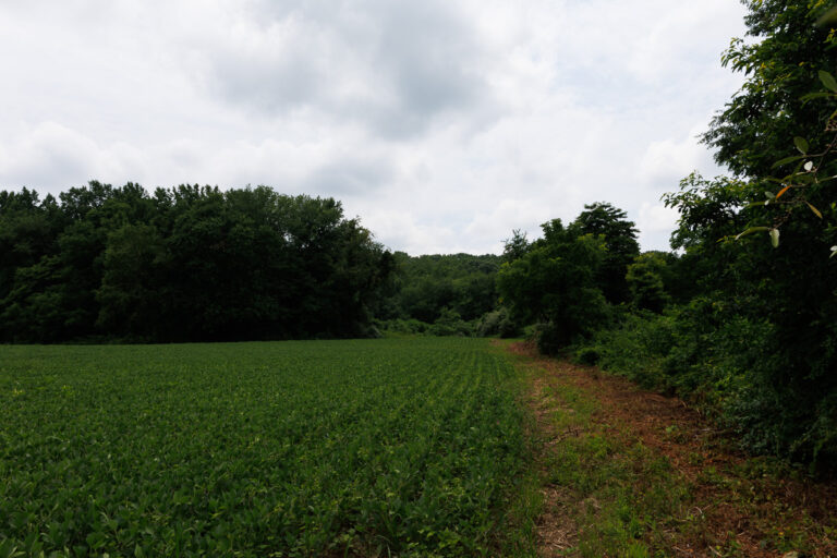 Assunpink Stone Tavern Lake Trail -