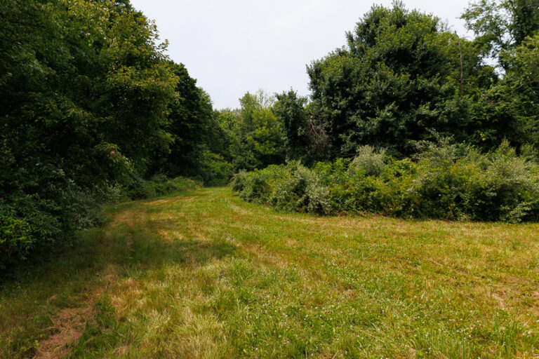 Assunpink Stone Tavern Lake Trail -