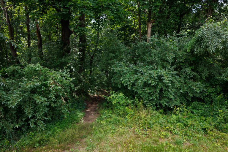 Assunpink Stone Tavern Lake Trail -