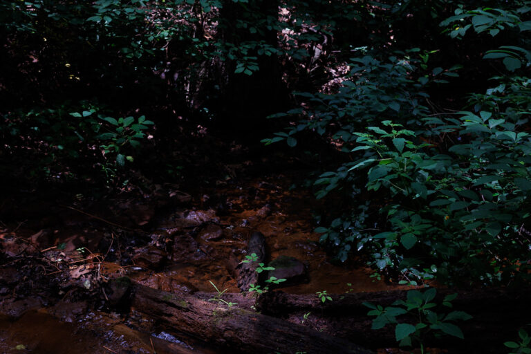 Assunpink Stone Tavern Lake Trail -
