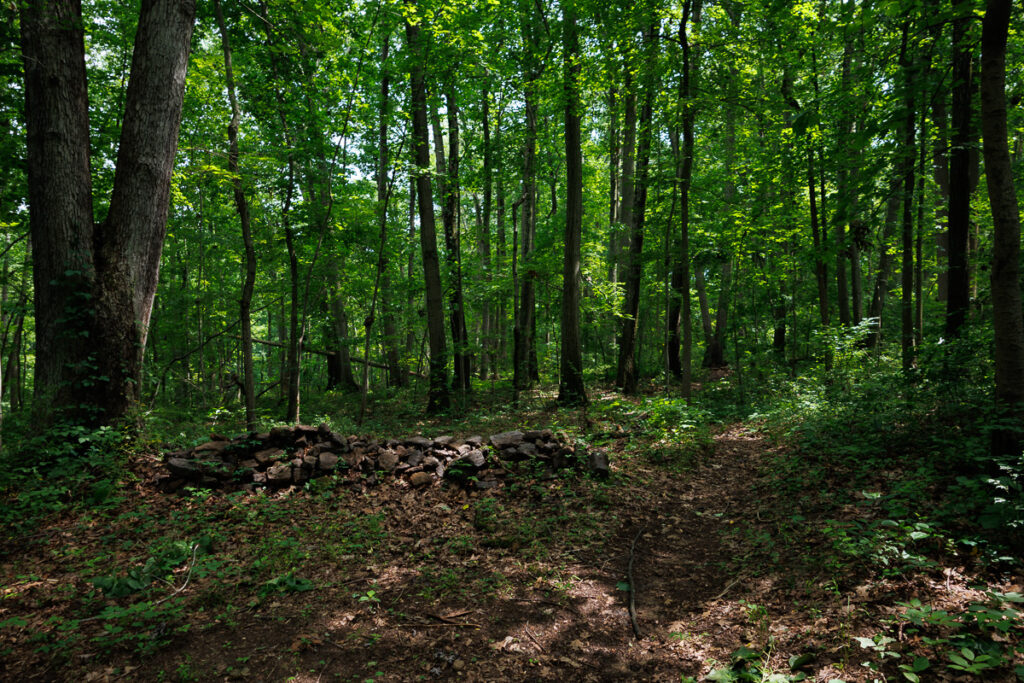 Assunpink Stone Tavern Lake Trail -