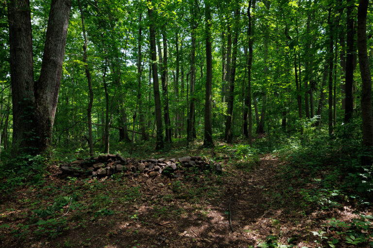 Assunpink Stone Tavern Lake Trail -
