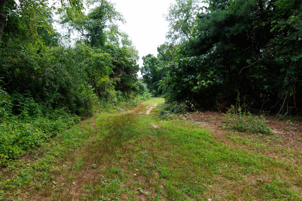 Assunpink Stone Tavern Lake Trail - Trail