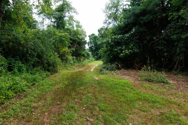 Assunpink Stone Tavern Lake Trail - Trail