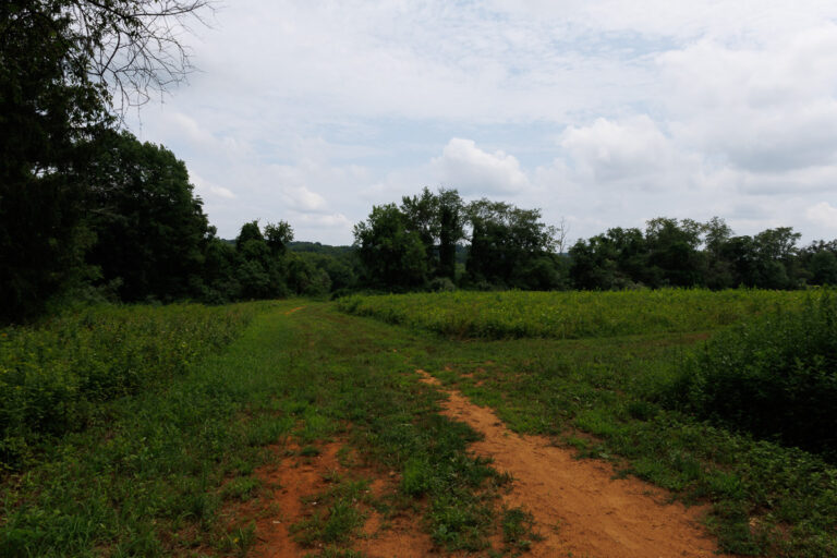 Assunpink Stone Tavern Lake Trail - Farm Field