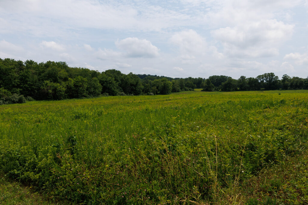 Assunpink Stone Tavern Lake Trail - Farm Field