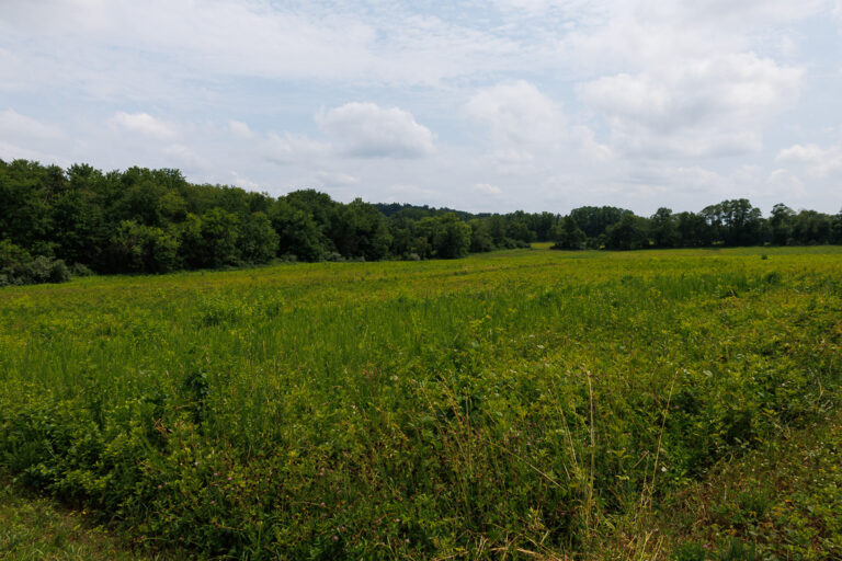 Assunpink Stone Tavern Lake Trail - Farm Field