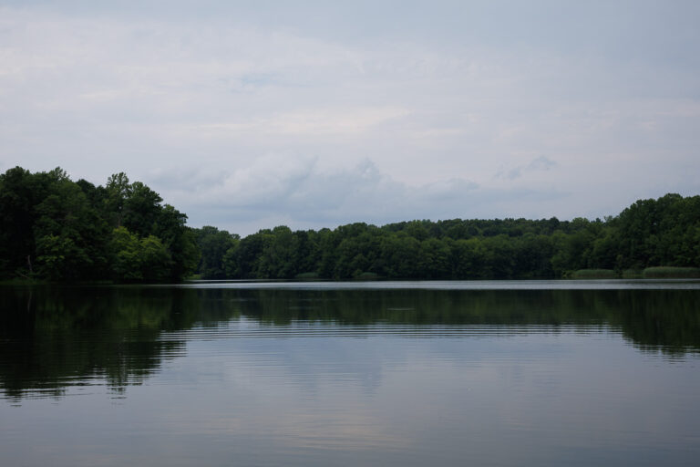 Assunpink Stone Tavern Lake Trail - Stone Tavern Lake