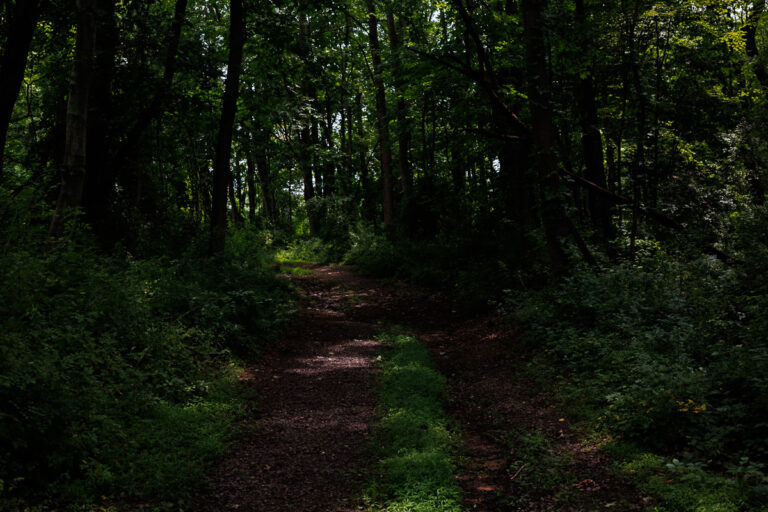 Assunpink Stone Tavern Lake Trail -