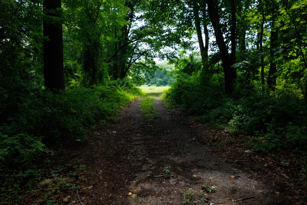 Assunpink Stone Tavern Lake Trail -