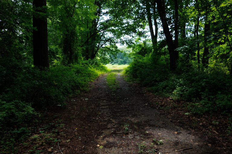 Assunpink Stone Tavern Lake Trail -