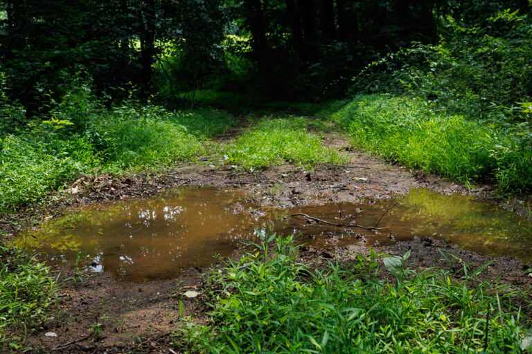 Assunpink Stone Tavern Lake Trail -
