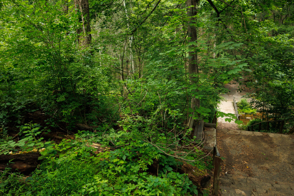 Hacklebarney State Park - Entrance to Riverside Trail