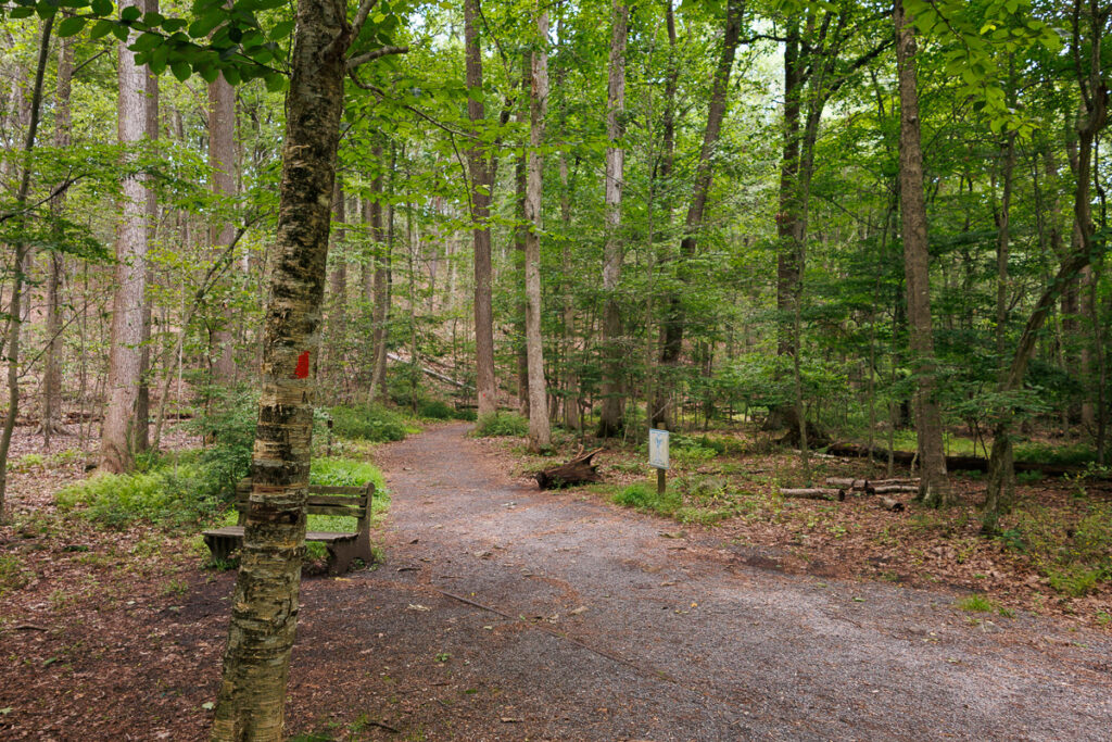 Hacklebarney State Park - Riverside Trail Marker