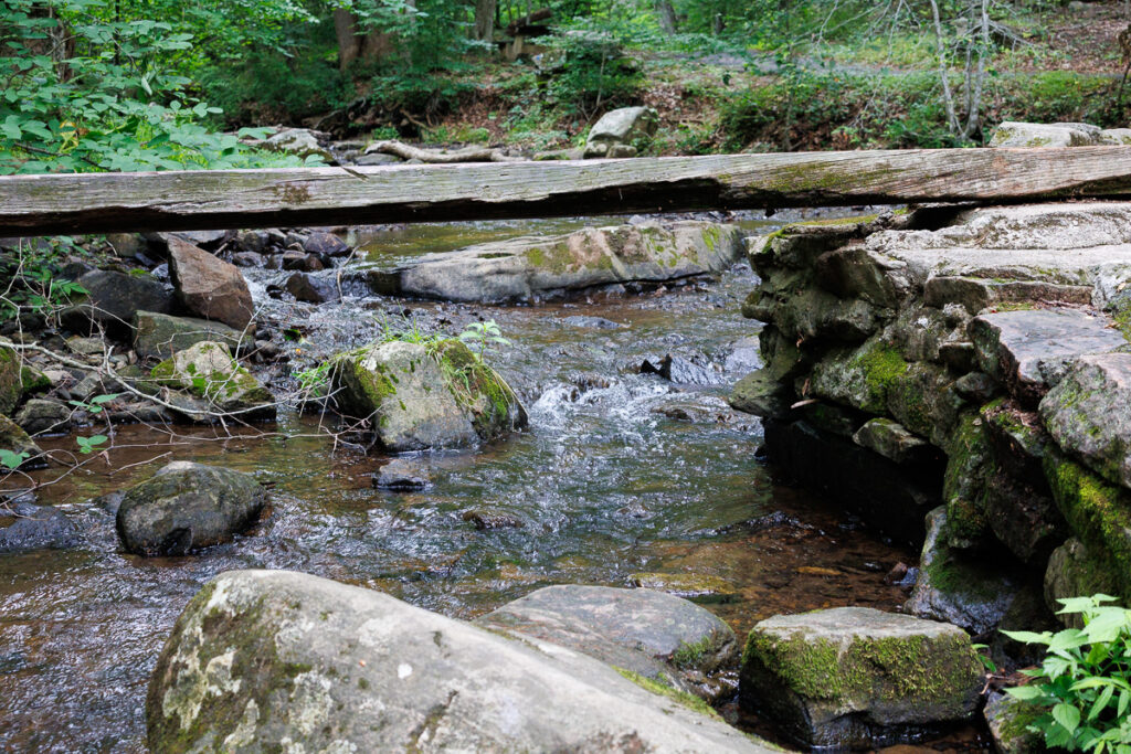 Hacklebarney State Park - Planks to cross the water