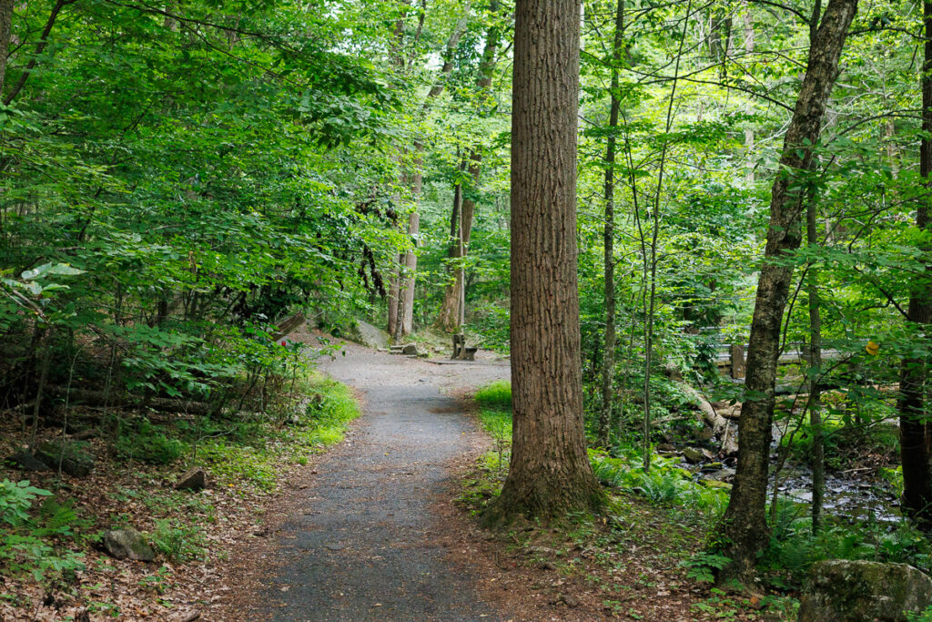 Hacklebarney State Park - Gravel trail with a bench