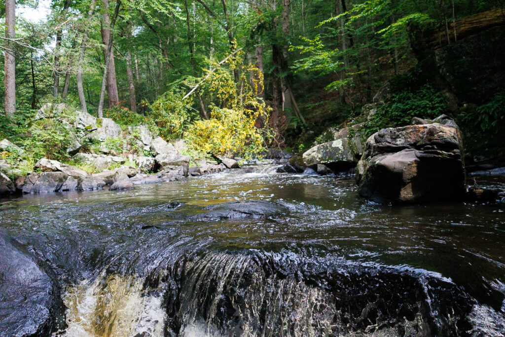 Hacklebarney State Park