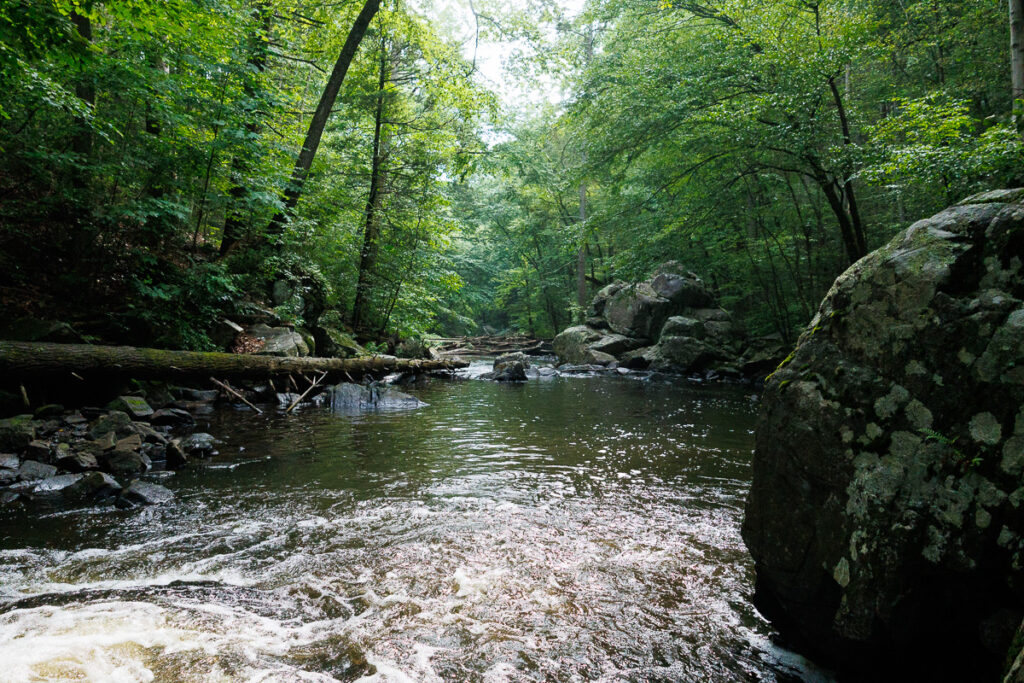 Hacklebarney State Park - View from the waterfall