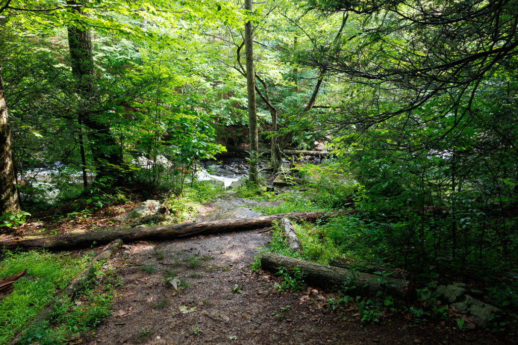Hacklebarney State Park