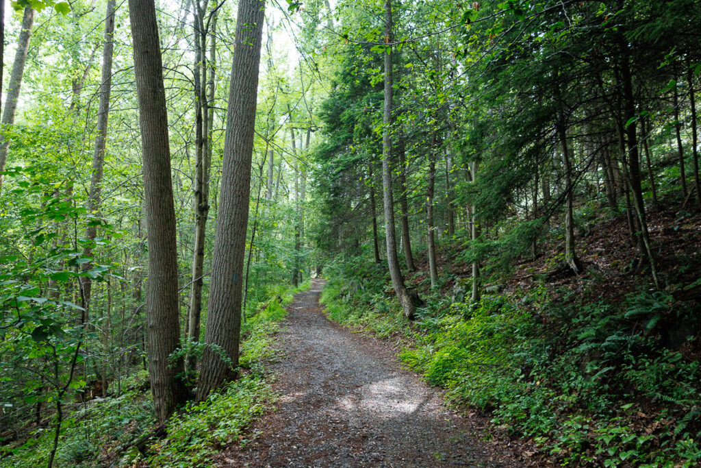 Hacklebarney State Park - Gravel Trail