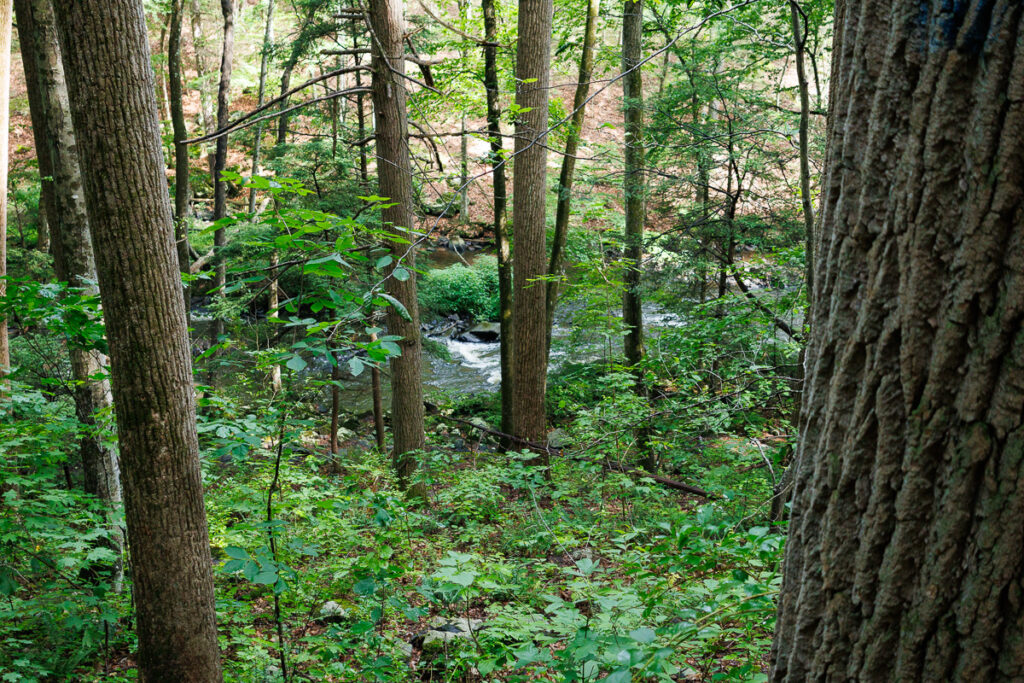 Hacklebarney State Park - Water view from the trail