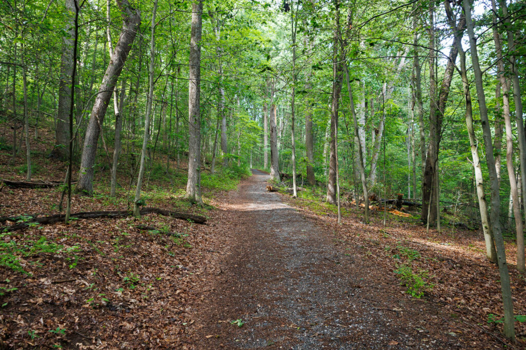 Hacklebarney State Park Trail Cover Photo
